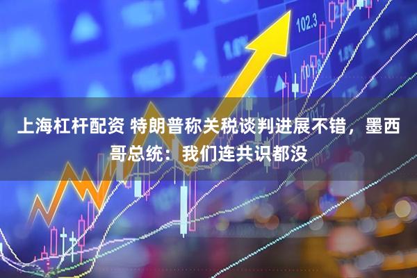 上海杠杆配资 特朗普称关税谈判进展不错，墨西哥总统：我们连共识都没