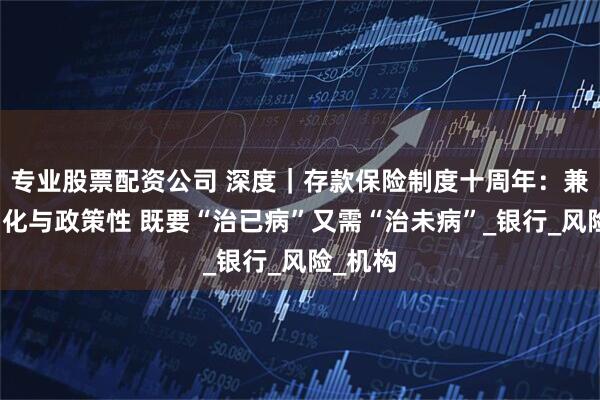 专业股票配资公司 深度｜存款保险制度十周年：兼顾市场化与政策性 既要“治已病”又需“治未病”_银行_风险_机构